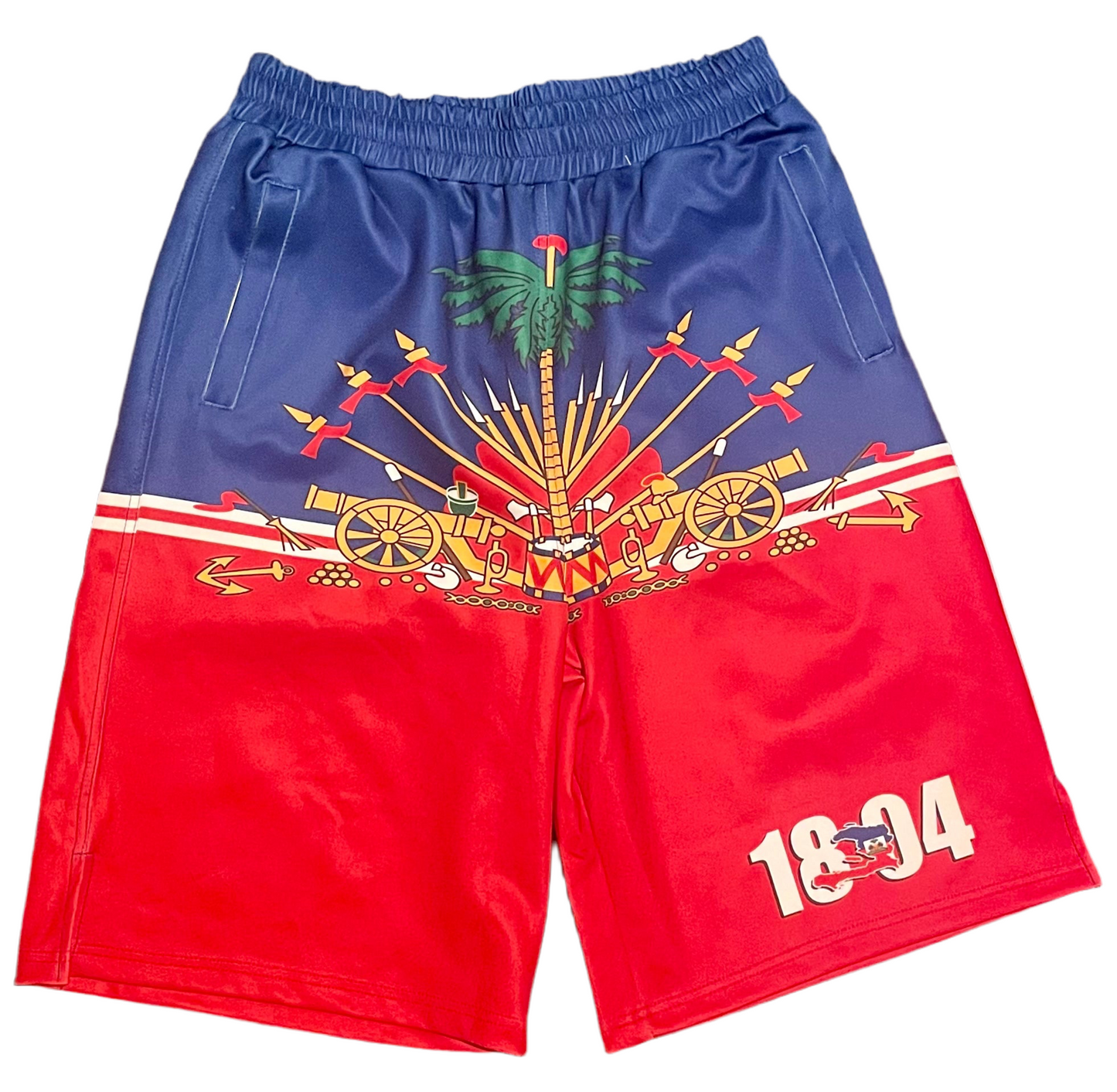 Men Haitian Flag Shorts