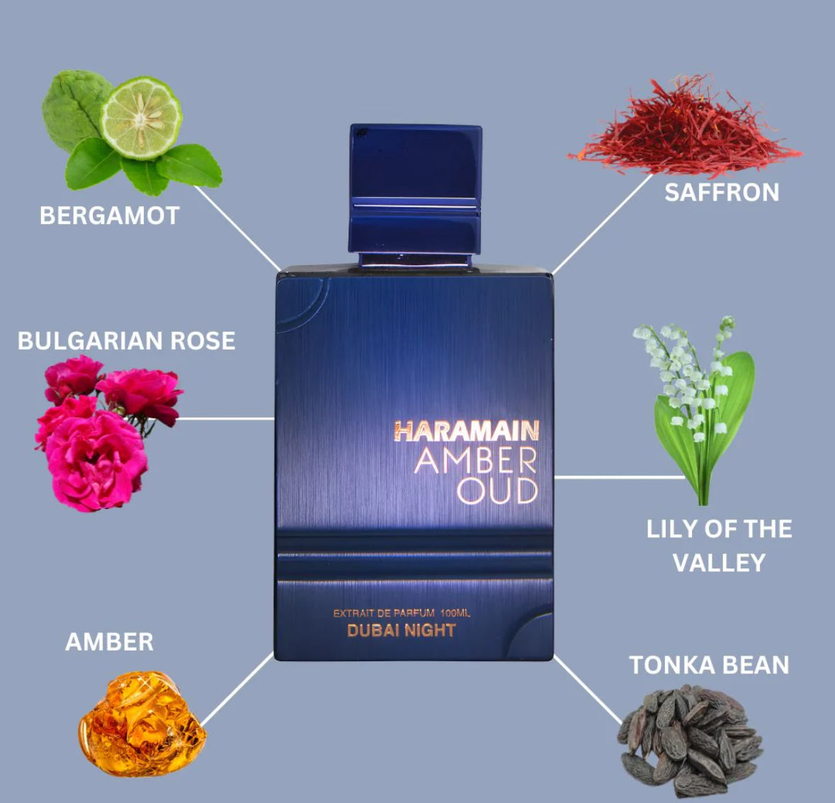 Amber Oud Dubai Night Extrait De Parfum Spray 100ML (3.4 OZ) By Al Haramain