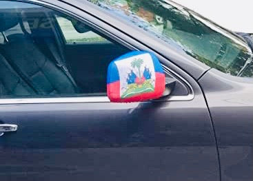 Glcs Haitian Flag Side Mirror Covers