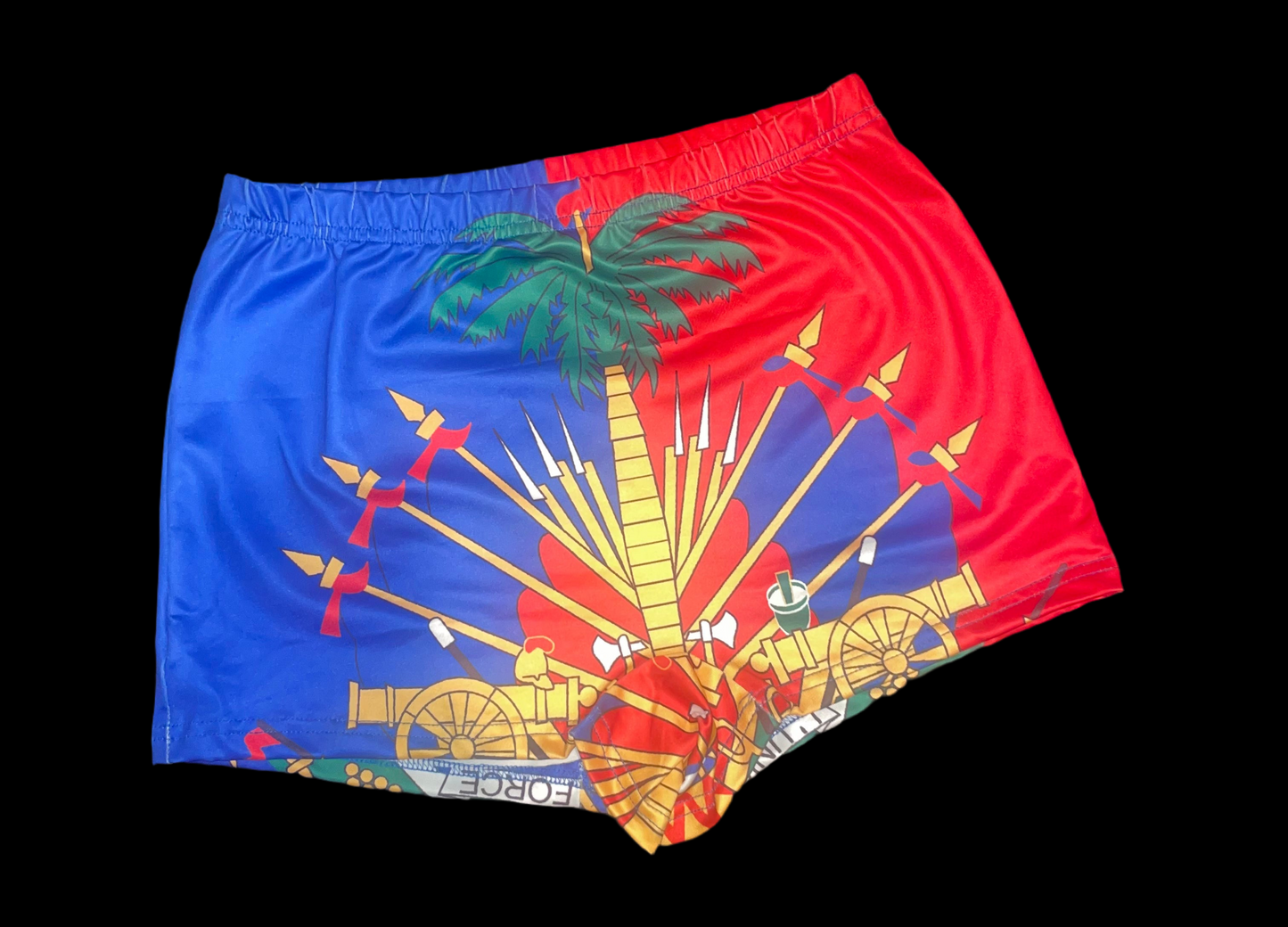 Haiti Flag Shorts